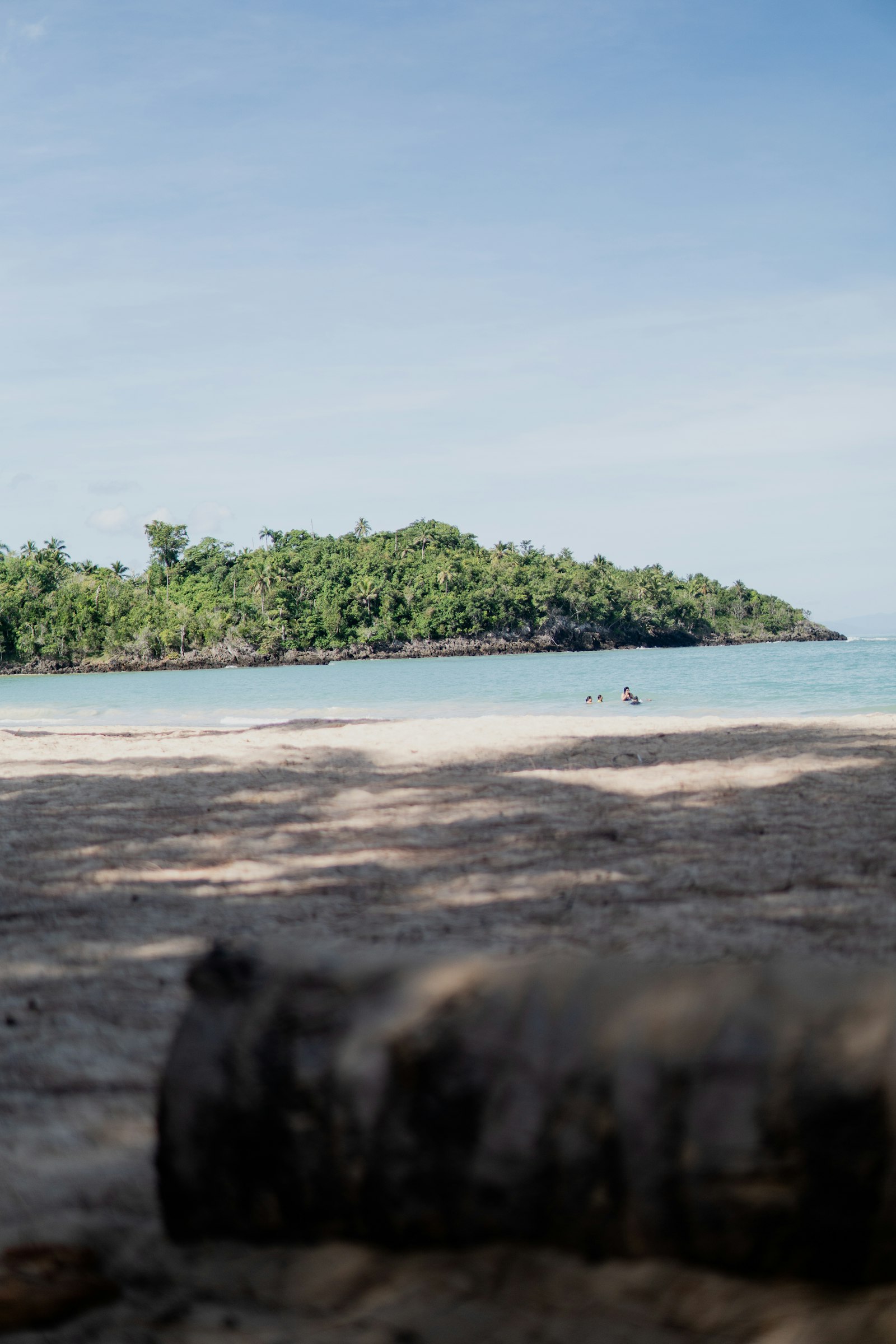 Driftwood on the sand along the Las Terrenas shoreline